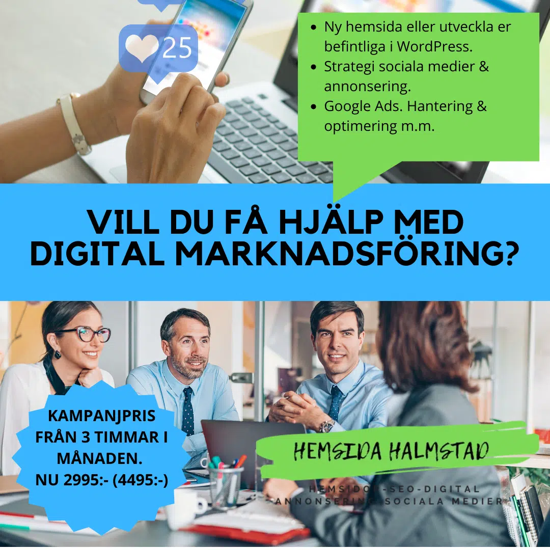 Rådgivningsabonnemang i digital marknadsföring HemsidaHalmstad.se